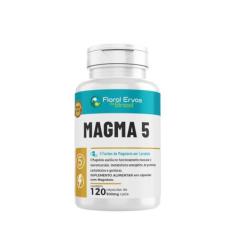 Imagem de Magma 5 120 Cápsulas 500mg 5 fontes de Magnesio em 1 Produto