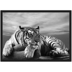 quadro tigre branco casal para decoração 3 peças
