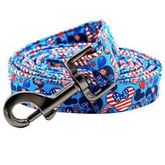 Imagem de Rainbow Coleira para cães do Dia da Independência, macia e durável, coleira forte para animais de estimação com alça de algodão para cães pequenos, médios e grandes