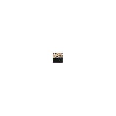 Imagem de Kenneth Cole REACTION Tênis feminino Cameron Easy on Puff, Neoprene leopardo, 36