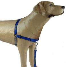 Imagem de Peitoral Easy Walk Anti Puxão K9 Spirit Azul Tam M