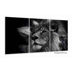 Imagem de Quadros Decorativos Leão  E  120x60 3 peças