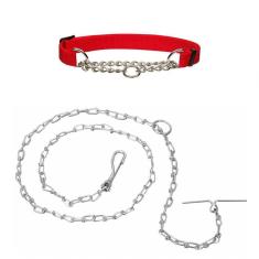 Imagem de Kit Coleira Corrente Metal Cachorro Pet Adestramento Passeio Caes Guia Semi Enforcador