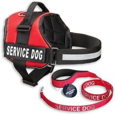 Imagem de Colete para cães de serviço com tiras de gancho e laço e conjunto de coleira para cães de serviço combinando - Arneses de PPP a 2GG - Peitoral para cães de serviço apresenta patch refletivo e design