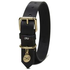 Imagem de Coleira  Para Cachorro Em Couro - Guardian Ouro - Four Dogs