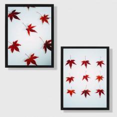 Imagem de Kit 2 Quadros Maple 45x34cm