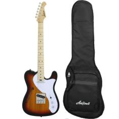 Imagem de Guitarra Aria Pro II TEG-TL 3 Tone Sunburst + Bag
