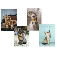 Imagem de Kit 4 Quebra-Cabeças Cognitivos Gatinhos Novos 40 Peças - Coleção Tea