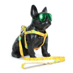 Imagem de Peitoral E Guia Para Cachorro Madog Floral