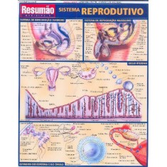 Imagem de Resumão - Sistema Reprodutivo - Indefinido - 9788588749283