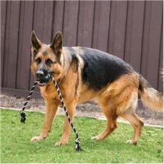 Imagem de Brinquedo Kong Extreme Ball W Rope Large Para Cães