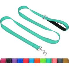 Imagem de Taglory Coleira para cães médios e grandes, coleira refletiva dupla face para cães com alça acolchoada de neoprene macio, 2,5 cm por 1,8 m, adequada para cães de raças médias e grandes de 9 a 68 kg,