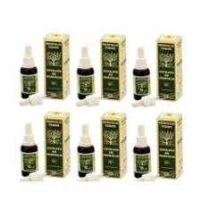 Imagem de Própolis Verde Extrato De Própolis Apis Flora 30ml Kit C/ 6