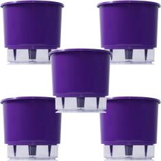 Imagem de Vaso Raiz Auto Irrigável Médio Roxo Temperos Kit Com 5 Peças