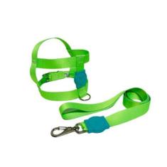 Imagem de Coleira Peitoral Neon Para Cães Tradicional 25mm - Verde Nº3 - Nicapet