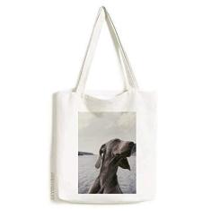 Imagem de Sacola de lona cinza para cães animais de estimação bolsa de compras casual bolsa de compras