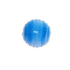 Imagem de Bola Gelada HomePet
