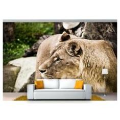 Imagem de Papel De Parede Animais Leoa Paisagem 3D Anm193