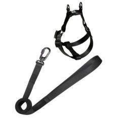 Imagem de Kit - Peitoral Americano + Guia  Elegance  - Tamanho G F117 - Mr Toni