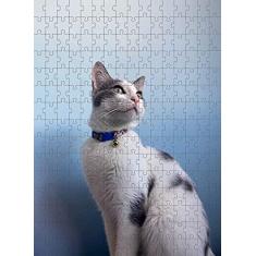 Imagem de Quebra Cabeça Gato Branco de 300 peças MDL04 + Chaveiro