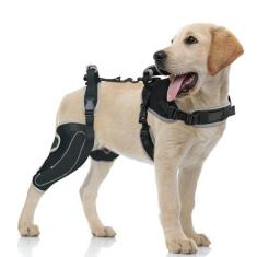 Imagem de Peitoral para cães com alça – Peitoral de suporte emocional para cães de serviço, sem puxão, design ajustável para conforto e controle, GG