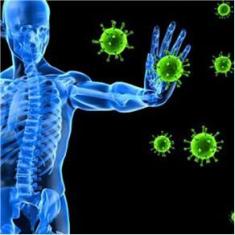 Imagem de Zinco Quelato Puro Alto Teor De Zinco Zn 60 Cápsulas - Duom