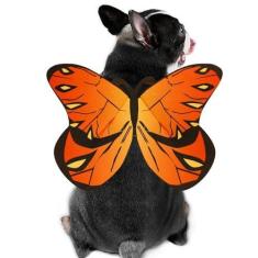 Imagem de Fantasia de borboleta de cachorro, fantasia de Halloween para animais de estimação pequenos e médios