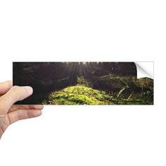 Imagem de DIYthinker Adesivo retangular para para-choque com cenário da natureza da ciência da floresta, decalque para janela