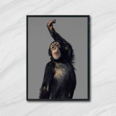 Imagem de Quadro Decorativo Macaco Performance 45x34cm