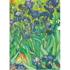 Imagem de Van Gogh Notebook: 16 Art Stickers - Vincent Van Gogh - 9780486406107
