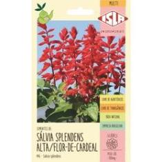 Imagem de Sementes Salvia Alta Flor De Cardeal Splendens - Isla