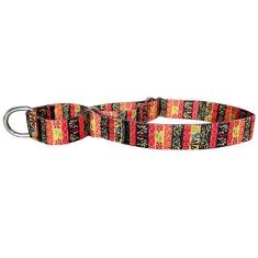 Imagem de Bbmmayy Coleiras para cães Martingale – Coleira macia ajustável para cães. Flores coloridas multicoloridas, estampas fofas para filhotes de cães médios e grandes, caminhando e treinando corrida (M: