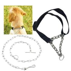 Imagem de Coleira Ajustavel Semi Enforcadora Cao Aço Zincado