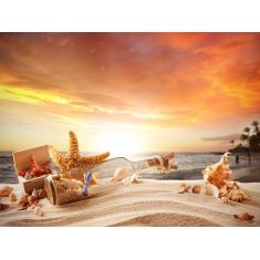 Imagem de Papel De Parede Praia Mar Estrela Concha 3D  Npr181