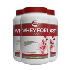 Imagem de Kit 3 Whey Fort 3W Vitafor Frutas Vermelhas 900g