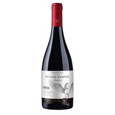 Imagem de Vinho Chileno Tinto Pinot Noir Andica miguel torres 750ml