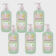 Imagem de Kit 6 Sabonete Gel Erva Doce Frescor e Suavidade 500 ml Hidramais