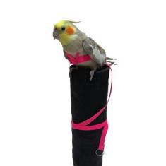 Imagem de Peitoral Coleira Para Calopsita + Guia Elástica Super Fashion - Dogvix
