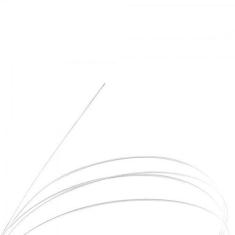 Imagem de Corda De Nylon GENWB Para Violão 2ª Corda GIANNINI