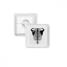 Imagem de Kit de atualização para jogos com teclado mecânico PBT para decoração do corpo humano esqueleto