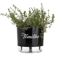 Imagem de Vaso Raiz Auto Irrigável N3  Tomilho Temperos Promo