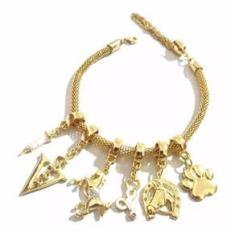 Imagem de Pulseira Veterinária Seringa Cavalo Pata Folheado 18k