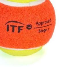 Imagem de Bola de Beach Tennis Wilson Tour Premier