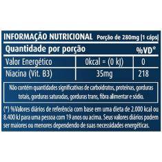 Imagem de Vitamina B3 Apisnutri 60 cápsulas