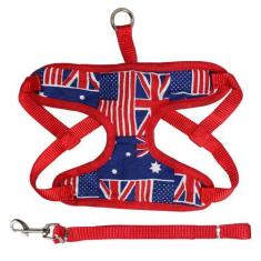 Imagem de Peitoral Para Cães Cachorros Porte Pequeno Com Guia 1 Metro - Elo