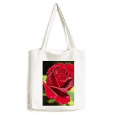 Imagem de Bolsa de lona para presente com rosas vermelhas escuras Art Deco, bolsa de compras casual