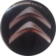 Imagem de Kit 10 Adesivos Resinado Citroen