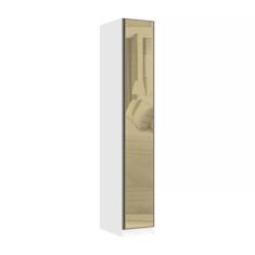Imagem de Guarda Roupa Modulado 1 Porta 40cm Com Vidro Reflecta Bronze Prime Luc