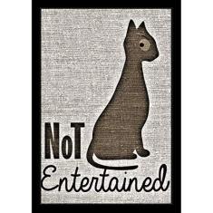 Imagem de Quadro De Gato Não Entretido Decore Pronto Multicor Pequeno 20x30cm