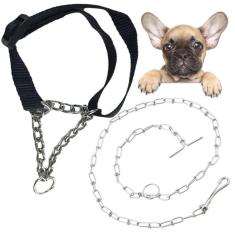 Imagem de Coleira Ajustavel Cachorro Semi Enforcadora Reforçada